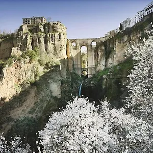 Algaida Calahonda Apartamento